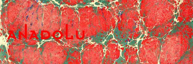 Ebru Kursları Antalyada